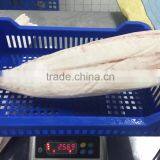 Frozen Oilfish Filets thumbnail-2
