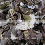 Edulis Porcini Mushrooms Grade AAA Boletes From Yunnan Sunshine Trading Co.,Ltd thumbnail-4