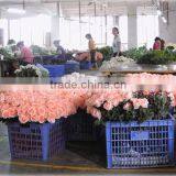 Yiwu Rocky Arts And Crafts Factory company overview - view 1 thumbnail
