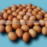 VIET NAM Fresh Brown Chicken Eggs thumbnail-3