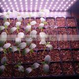 2015 Hight Power 30W Led Grow Light Hydroponics And Aquaponics thumbnail-4