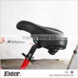 ESTER New Fashion Three Wheel Rickshaw for Family thumbnail-5