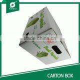 Standard RSC Fruit Carton Box Apples Packaging Box thumbnail-4