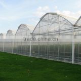 Large Multispan Greenhouses for Hydroponics System