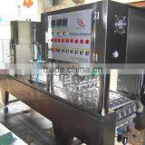 Peanut Milk Filling and Sealing Machine