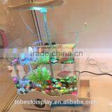 Tank Fish Tank for Sale, Coral Fish Tank, Fish Tank Can be Landscaping
