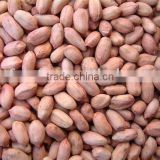 Raw Peanut kernels