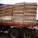 Fits for All Brooms and Scrubber Mops Without Thread Cylindrical Wooden Handle thumbnail-1