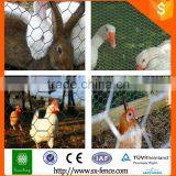 2016 China Supplier Galvanized Hexagonal Wire Mesh Fence