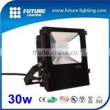 2015 New Products Cheapest Whloesale SMD 30 Watt LED Floodlight