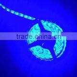 12V LED Strip Light SMD 5050 STRIP LED LIGHT thumbnail-3