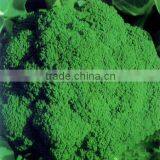 F1 Hybrid Excellent Chinese Broccoli Seeds For Planting-SproutingYour Broccoli Seeds thumbnail-1