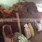 SQUARE CUT CINNAMON thumbnail-5