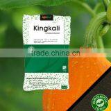 Npk Powder Fertilizer