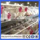 Canton Fair Chicken Layer Cage and Poultry Equipment Supplier Manufacturer (Guangzhou Factory) thumbnail-1