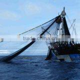Purse Seine Net