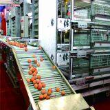 He'nan Zhongzhou Animal Husbandry Breeding Equipment Co., LTD company overview - view 4 thumbnail