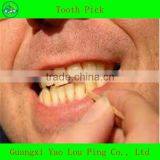 Home Supply Toothpicks thumbnail-1