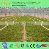 Steel Pipe Manufacturer Vegetable Greenhouse With Cost Price thumbnail-4