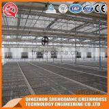 Factory Outlet Wide Multi Span Glass Agricultural Greenhouses thumbnail-6