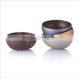 High Quality Eco Friendly Vietnamese Lacquer Natural Inside Outside Color Coconut Bowl thumbnail-1