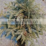 best place to buy an artificial christmas tree high quality fake Christmas tree