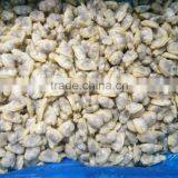 FROZEN YELLOW CLAM MEAT thumbnail-1
