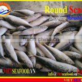 FROZEN MARUADSI WHOLE ROUND (ROUND SCAD) thumbnail-6