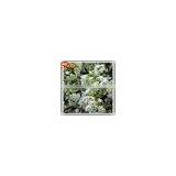 2015 Wholesale Artificia White Wedding Wishing Tree Fake Cherry Blossom Tree Wedding Decor thumbnail-5