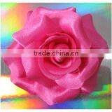 ROSE thumbnail-1