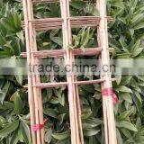 Factory Direct Sale Bamboo Cane Trellis /holding Bamboo Trellis/make Bamboo Garden Trellis thumbnail-3