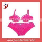 2012 new style women bra and panty accept OEM/Eco-Friendly
