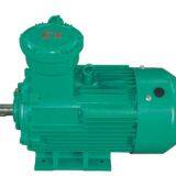 YBX3 Explosion-proof Motor-CT4 Grade (factory Explosion-proof)