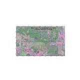 Farming Land in Chaco Paraguayo thumbnail-1