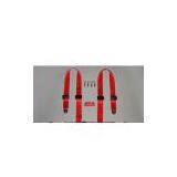 4-point Racing / Seat Belt thumbnail-1
