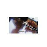 Beijing Interpreter, Beijing Translator, Beijing Sophie, China, English, Chinese