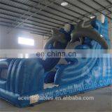 Professional Supplier Inflatable Park Water Park Giant, 30ft Inflatable Water Slides,commercial Slip n Slide