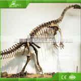 Sichuan OEM Raptor Skeleton Replica for Playground thumbnail-6