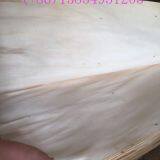 1270X840X0.6mm0.8mm0.9mm1.2mm/poplar Core /Veneer for Plywood Furniture