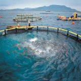 Deep Sea Fish Cage Wear Resistance Anti-wind thumbnail-2