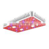 2020 New Arrivals Hydroponic Wholesale Full Spectrum VEG BLOOM 2000w COB LED Grow Light thumbnail-1