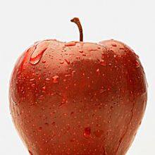 OEM Dishwashing Liquid Detergent - Foam Rich thumbnail-3