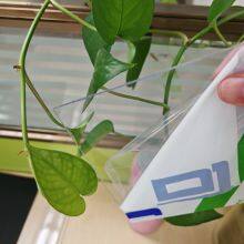 Solid Polycarbonate Greenhouse Plastic for Sale Used Clear Sheet thumbnail-4