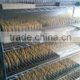 A60 4w E27 220v-240v Filament Led With CE&RoHS 2Years Warantty Warm Whit thumbnail-5