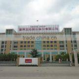 Rastar Group company overview - view 2 thumbnail