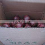 2014 Fresh Red Onion China Wholesale thumbnail-3