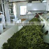 China Origin Health Food Beverage Matcha Japanese thumbnail-6
