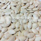 Bulk Vegetable Seeds China Shine Skin Pumpkin Seeds Grade a thumbnail-2