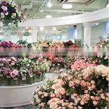 Poppy Inc company overview - view 1 thumbnail