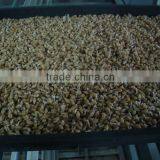 Automatic Barley/wheat/oat Sprouting Machine thumbnail-1